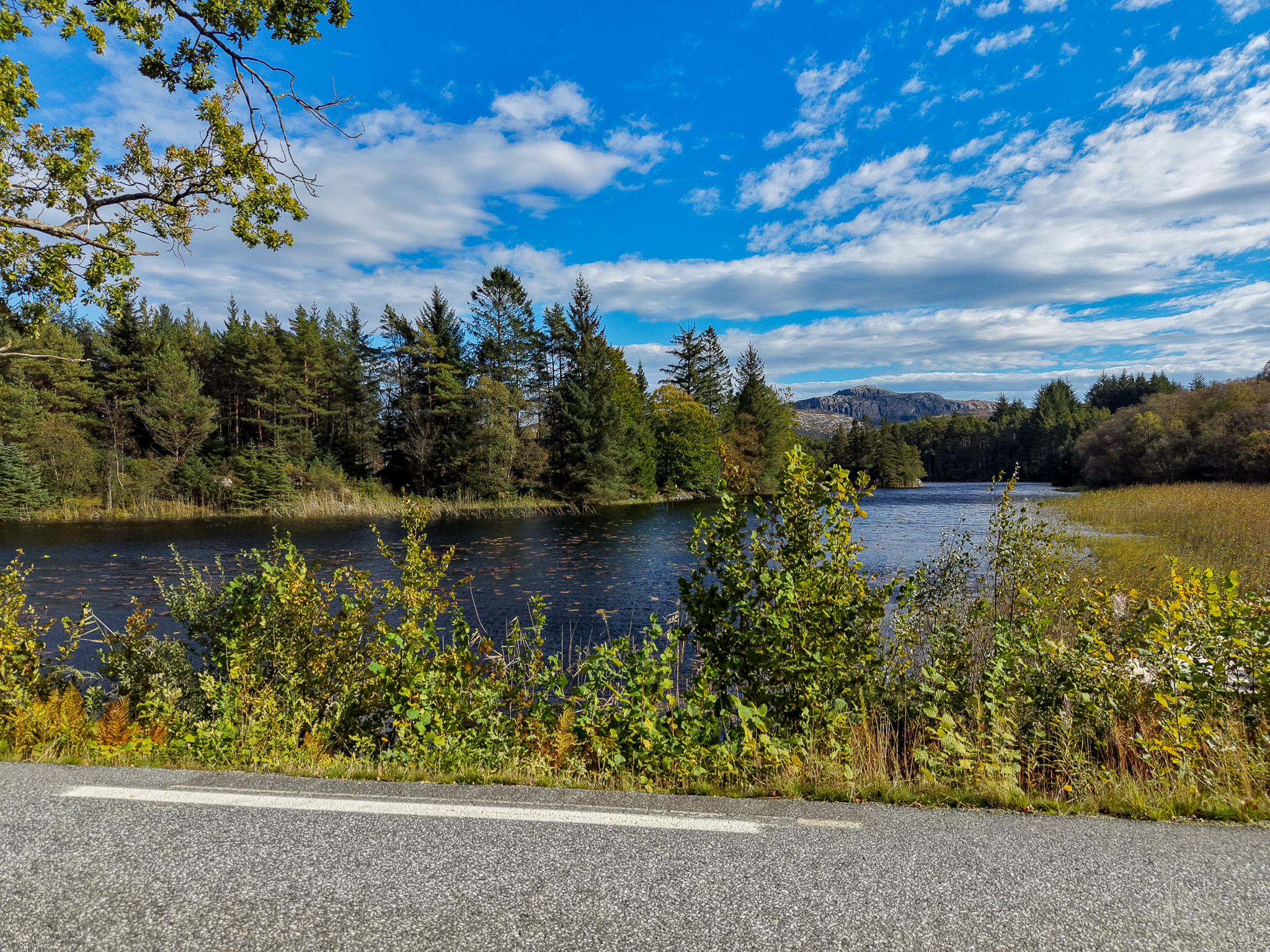 DJI 20250927141644 0010 D