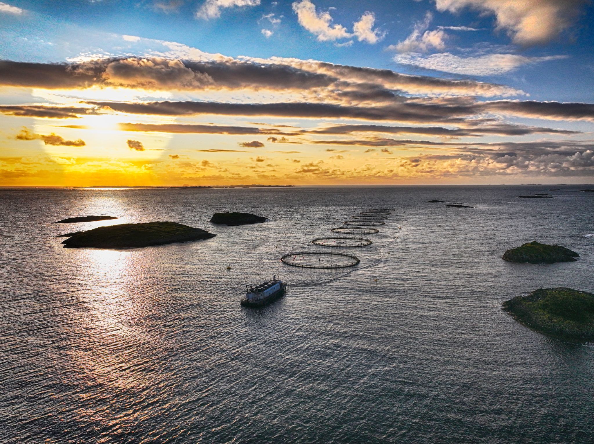 Offshore Fish cultivation
