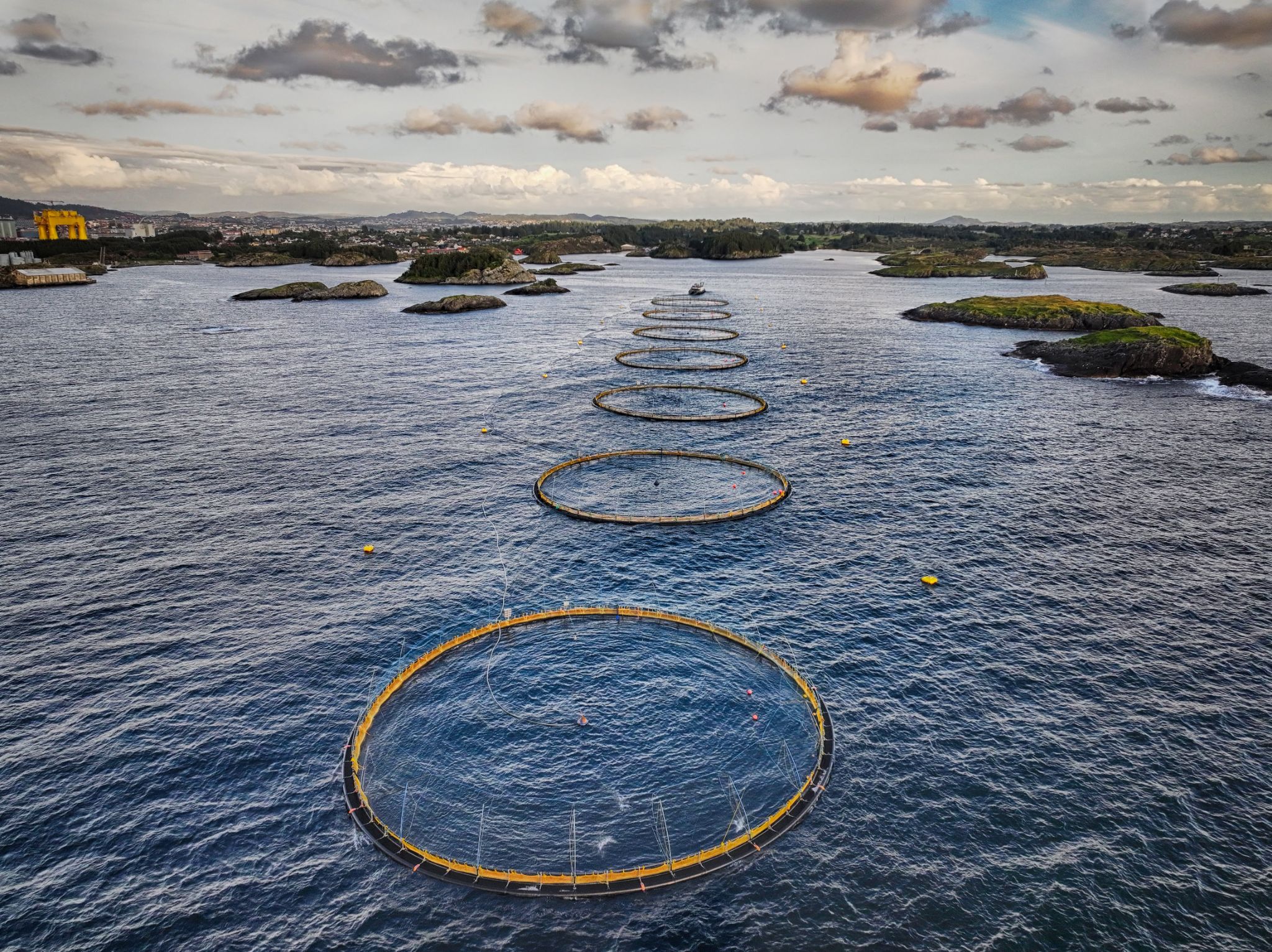 Offshore Fish cultivation