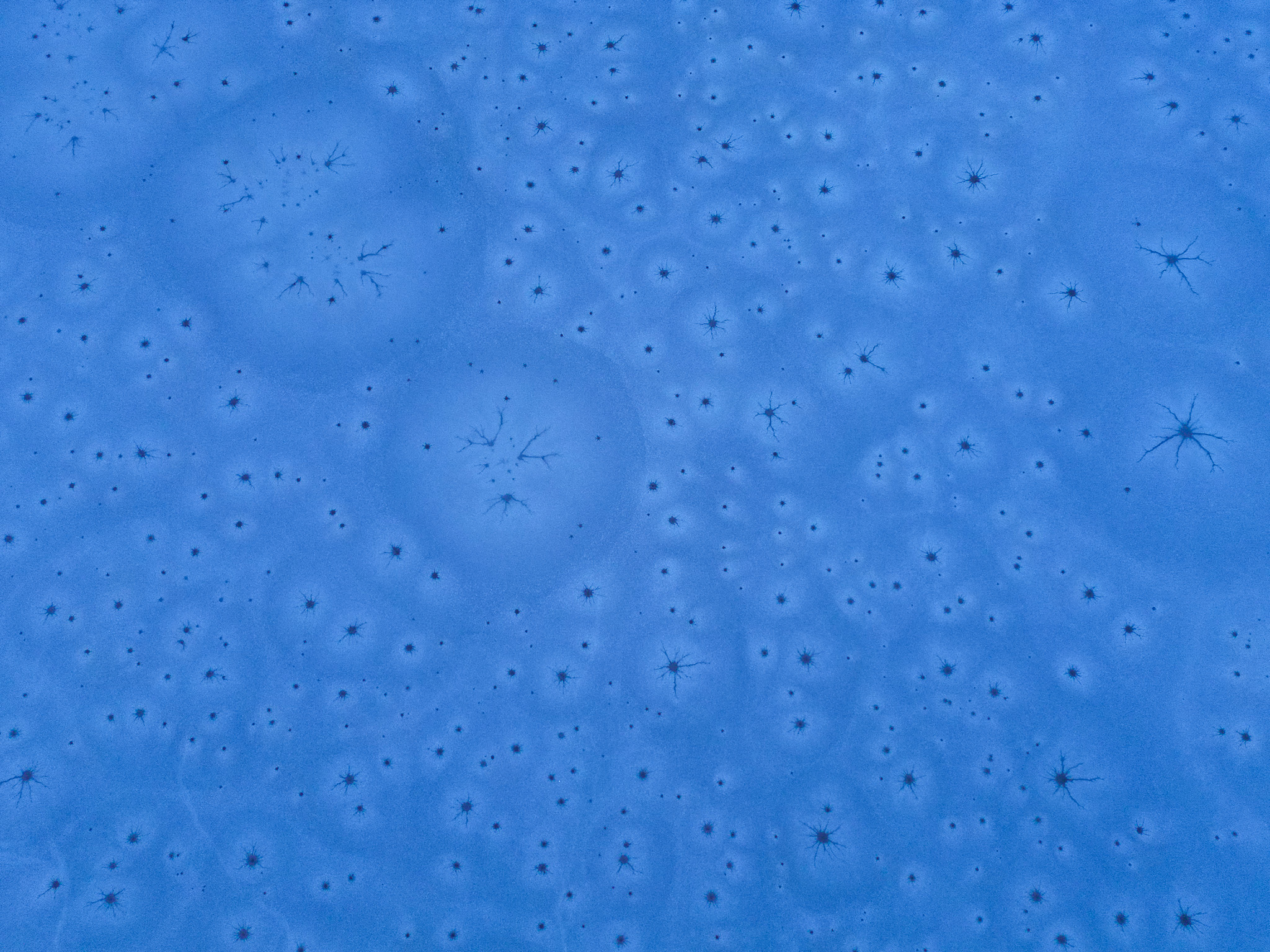 Icy surface on lake, Aksnes, Norway