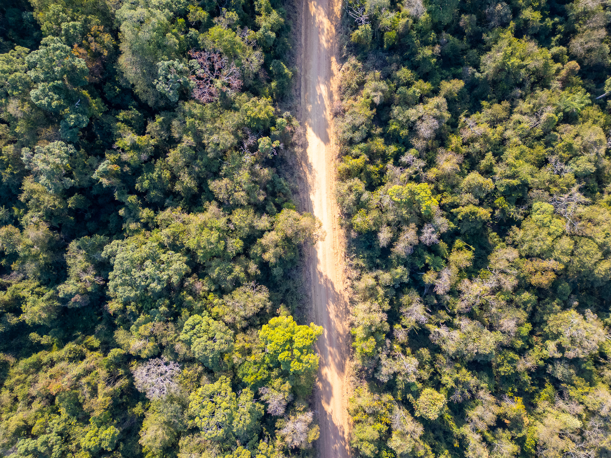 Road in rural Boituva, São Paulo, Brazil